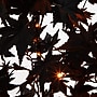 Nearly Natural Pre-Lit Artificial Halloween Black Maple Tree, 4' (T5217)~#|#~62213E70-6C7A-43AB-94F141362677F1DC_sc7