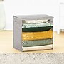 Whitmor Tall Storage Bag with Window, Gray (5455-12084)~#|#~623397BD-7848-4A64-84CA6F2DB5F68C04_sc7