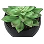 Monarch Specialties Inc. 6" Artificial Succulent Plants, 3/Set (I 9556)~#|#~623F2C43-D397-42F8-B0208D1E19CAFF62_sc7