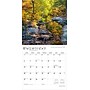 2026 BrownTrout Michigan Nature 12" x 12" Monthly Wall Calendar (9798330704583)~#|#~625770B3-3DE6-4008-8CE1E3C40A8324AE_sc7