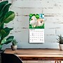 2027 BrownTrout Pomeranians 7" x 7" Monthly Wall Calendar (9798330710058)~#|#~625AE49D-8DAF-4606-A812DCAA019A7E47_sc7