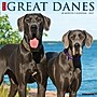 2027 Willow Creek Great Danes 12" x 12" Monthly Wall Calendar (60537)~#|#~625B684F-0102-4F97-980F6BD04B764835_sc7