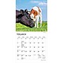 2027 BrownTrout Baby Moo Moos 7" x 7" Monthly Wall Calendar, Assorted Colors (9798330709779)~#|#~6275A652-FF09-4614-A376B1EA59350BF5_sc7