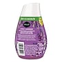 Renuzit Adjustables Air Freshener Solid, Lovely Lavender Scent, 7 oz., 12/Carton (43133)~#|#~627613D0-AAB8-49D6-8720BF648BF36F1F_sc7