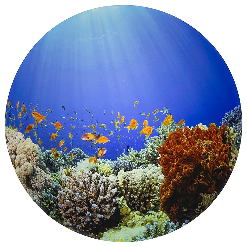 TickiT Under the Sea Discovery Play Mat, Multicolored (CTU73560) image 1