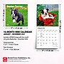 2027 BrownTrout Boston Terrier Puppies 7" x 7" Monthly Wall Calendar, Assorted Colors (9798330709939)~#|#~627BE70B-3D76-4D6E-A20F6C8228E475B2_sc7