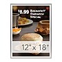 Excello Global Products 12" x 18" Plastic Poster Frames (PPFRM-1218-SLV) ~#|#~62B6691E-4852-4659-BC59088829520B6F_sc7
