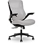 Beautyrest ErgoMax Ergonomic Mesh/Fabric Swivel Task Chair, Gray (60078-Gry)~#|#~62BFDCF2-1F31-4FA1-BCCAF1EE170BE46E_sc7