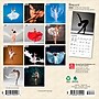 2026 BrownTrout Ballet 7" x 7" Monthly Wall Calendar (9798330702299)~#|#~62DE4C2E-0DCB-4874-94FC125C8F51E590_sc7
