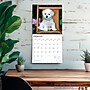 2026 BrownTrout Bichon Frise Puppies 12" x 12" Monthly Wall Calendar (9798330702435)~#|#~62EAFE92-A89A-4A8E-887C345B013A71F7_sc7