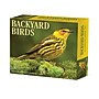 2026 Willow Creek Backyard Birds 6.2" x 5.4" Day-to-Day Calendar (53935)~#|#~62F0E87F-080B-436E-8B74CC83333294DA_sc7