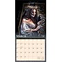 2026 BrownTrout Witches Alchemy 12" x 12"  Monthly, Paper Cover, Witches Alchemy (9798330701308)~#|#~6320BB6D-2750-4614-A8D5077086E570D2_sc7