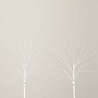 Nearly Natural 24-in Pre-Lit Artificial White Birch Branches with 80 Warm White LED Lights - Set of 2 (T4778-S2)~#|#~632EF598-9D42-43EA-9B7D1556EDE1A666_sc7