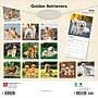 2026 BrownTrout Golden Retrievers 12" x 12" Monthly Wall Calendar (9798330703494)~#|#~633C6639-3CA4-4FE6-8AEE3273D7D11A46_sc7