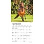 2027 BrownTrout Horse Lovers 7" x 7" Monthly Wall Calendar (9798330709823)~#|#~63552915-7828-46A3-98FB5F9DD781652B_sc7