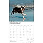 2026 BrownTrout For the Love of Boston Terriers 14" x 12" Monthly Wall Calendar (9798330707119)~#|#~63961941-66A4-4B70-8B93376EB1A1E7D6_sc7