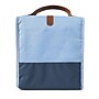 Arctic Zone Eco Insulated Lunch Sack, Blue, 262 oz. (61-01005-00-01)~#|#~639923C0-97F6-4859-80B642FE580E55F0_sc7