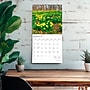 2026 BrownTrout Illinois Wild & Scenic 12" x 12" Monthly Wall Calendar (9798330703845)~#|#~63C89494-DFA0-435A-AB3630E4134A1BB2_sc7