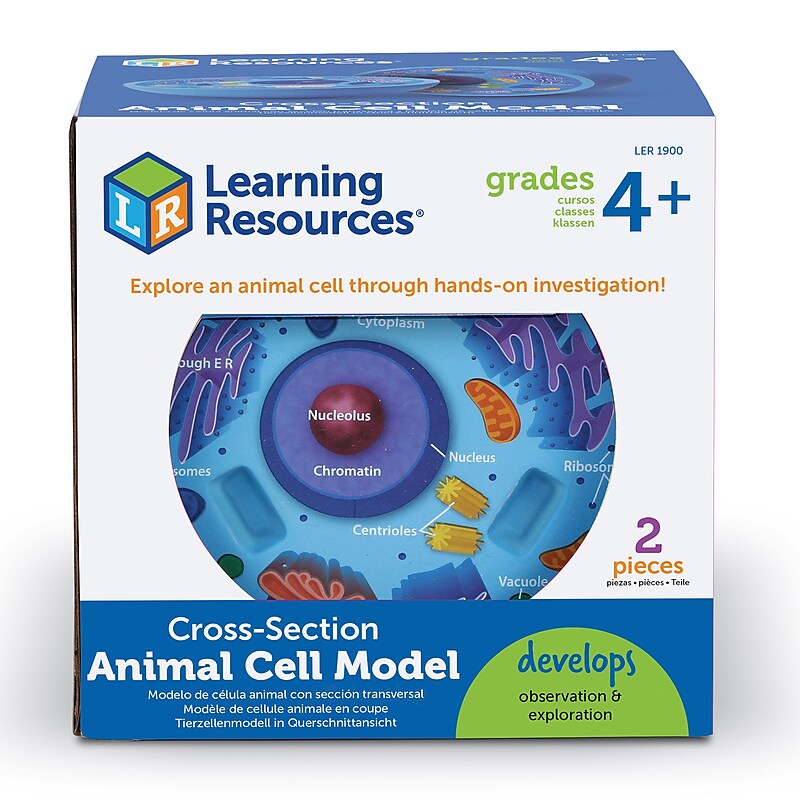 Learning Resources Cross Section Models, Animal (LER1900) image 1
