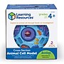 Learning Resources Cross Section Models, Animal (LER1900)~#|#~63CA55E8-7E63-4A11-9BA49D996E027DC6_sc7