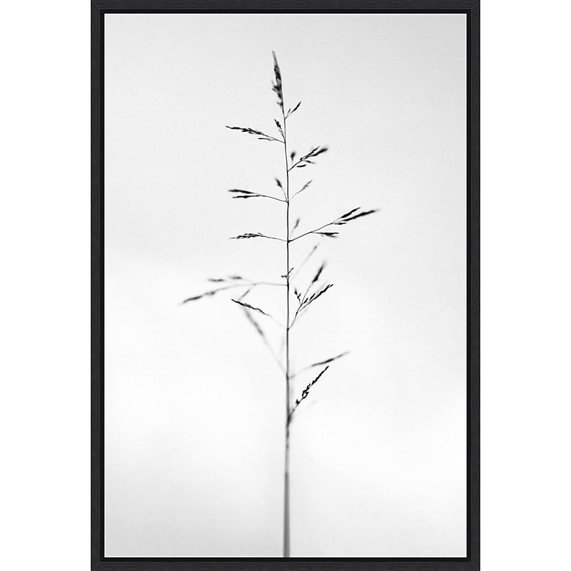 Amanti Art Amid the Flowers 51 by Teis Albers Framed Canvas Wall Art Print, 23" x 33" (A42677457054) image 1