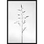 Amanti Art Amid the Flowers 51 by Teis Albers Framed Canvas Wall Art Print, 23" x 33" (A42677457054)~#|#~63CD9B27-EA2C-46BC-8412A4707F563EC4_sc7