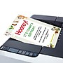 Great Papers Whimsical Animal Pals Everyday Letterhead, Multicolored, 50 Sheets/Pack (2025012)~#|#~6407FE9D-0437-4F92-9E0519FC8684B3E9_sc7