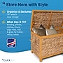 ClickDecor Wilson Storage Trunk, Wicker, Natural (FUCN20050B)~#|#~641070CC-A26B-405E-B5FAB68ED1E57E53_sc7
