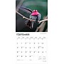 2026 BrownTrout Hummingbirds 12" x 12"  Monthly, Paper Cover, Hummingbirds (9798330703807)~#|#~64118CF4-725F-4D35-BE3C65955B84C022_sc7