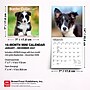 2027 BrownTrout Border Collie Puppies 7" x 7" Monthly Wall Calendar, Assorted Colors (9798330709915)~#|#~64132F75-A5C4-4413-A9B6757EEF595FDC_sc7