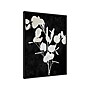 Amanti Art Plant Life White on Black III, Canvas, 23" x 30" (A42675515291)~#|#~641847B1-B7B1-4F95-9BFD13F5EE1F762A_sc7