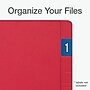 Pendaflex End Tab File Folder, Straight Cut, Legal Size, Red, 100/Box (1007079)~#|#~642CD7C1-3D74-43AF-8C839DDE233EFEA5_sc7