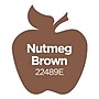 Apple Barrel Acrylic Paint Matte, 16oz., Nutmeg Brown, 3/Pack(APP22489E-3)~#|#~643114A1-1EE1-45FB-804900C1CCD9730E_sc7