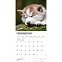2027 BrownTrout Siberian Husky Puppies 12" x 12" Monthly Wall Calendar (9798330712700)~#|#~64447359-991D-44E8-87EC4A86F735DB66_sc7