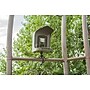 Technaxx TX-165 Full HD Birdcam (4923)~#|#~644D9E59-336F-47A7-8BBD05500BE8B39B_sc7