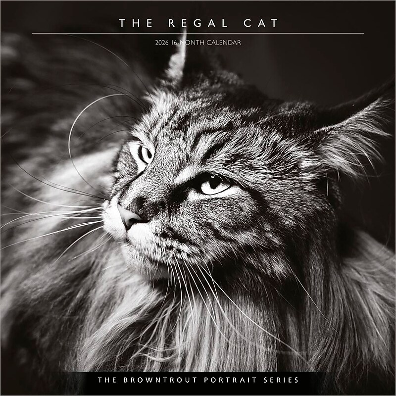 2026 BrownTrout The BrownTrout Portrait Series: The Regal Cat 12" x 12" Monthly Wall Calendar (9798330707874) image 1