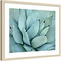 Amanti Art Agave Detail IV by Brittany Evans Wood Framed Wall Art Print, 25"W x 21"H (A42678978405)~#|#~64683296-0DAB-44C3-90B24E9EE93D2F84_sc7