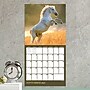 2027 TF Publishing Horses 7" x 7" Monthly Wall Calendar, Multicolored (27-2001)~#|#~6472ECB4-6959-4A56-9F675931A17A5A49_sc7
