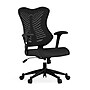 Flash Furniture Kale Ergonomic Mesh Swivel High Back Executive Office Chair, Black (BLZP806BK)~#|#~648A28E3-F849-478A-96C3954870F17730_sc7