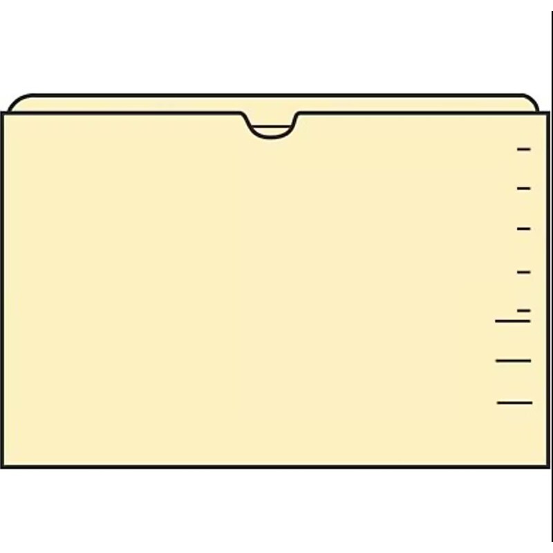 Medical Arts Press®  Reinforced File Pocket, Letter Size, Manila, 100/Box (FPDT12) image 1