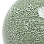 Creekwood Home Table Lamp, Sage Green (CWT-2037-SG)~#|#~64DD34A2-D336-4B43-9B011A9D844D903B_sc7