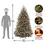 National Tree Company Dunhill Fir Artificial Christmas Tree (DUBH3-75LO-S6)~#|#~64DE55F1-8559-4750-A4A950134E1ADF18_sc7