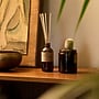 P.F. Candle Co. Classics  Arroyo Oak Reed Diffuser, 3.5 oz. (RD37)~#|#~64F2C902-5610-484F-A926974899350CA2_sc7