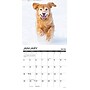 2026 Willow Creek 12 Uses for a Golden 12" x 12" Monthly Wall Calendar (49730)~#|#~652EC37C-E81B-4FEB-8B5975813015EF37_sc7