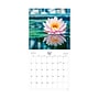2025-2026 Blue Sky Flower of the Month 12" x 12" Academic Monthly Wall Calendar, Assorted Colors (155814)~#|#~653E352B-AE4B-4E33-BF4E8395126FB01A_sc7