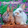 2027 BrownTrout Honey Bunny 7" x 7" Monthly Wall Calendar (9798330709809)~#|#~654081EA-F018-4432-BB95504EF0C60E35_sc7