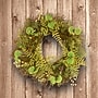 National Tree Company 24" Garden Accents Fern and Lavender Wreath (GAFL30-24WGL)~#|#~6550D902-6F8E-4220-96D1DF0AF5611CDA_sc7
