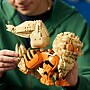 LEGO Pokémon Arcanine, 1190 Pieces (72160)~#|#~65526CBC-8D0F-433A-B66FB91CDCBDDB53_sc7