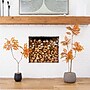 Nearly Natural 5' Autumn Minimalist Sumac Artificial Fall Tree (T4822)~#|#~6573E1DE-15DA-48FC-AE9B9CAEC91078F1_sc7