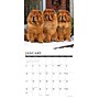 2027 Willow Creek Chow Chows 12" x 12" Monthly Wall Calendar (59708)~#|#~657ADD5C-09F2-43D1-915DD7A210A285C8_sc7